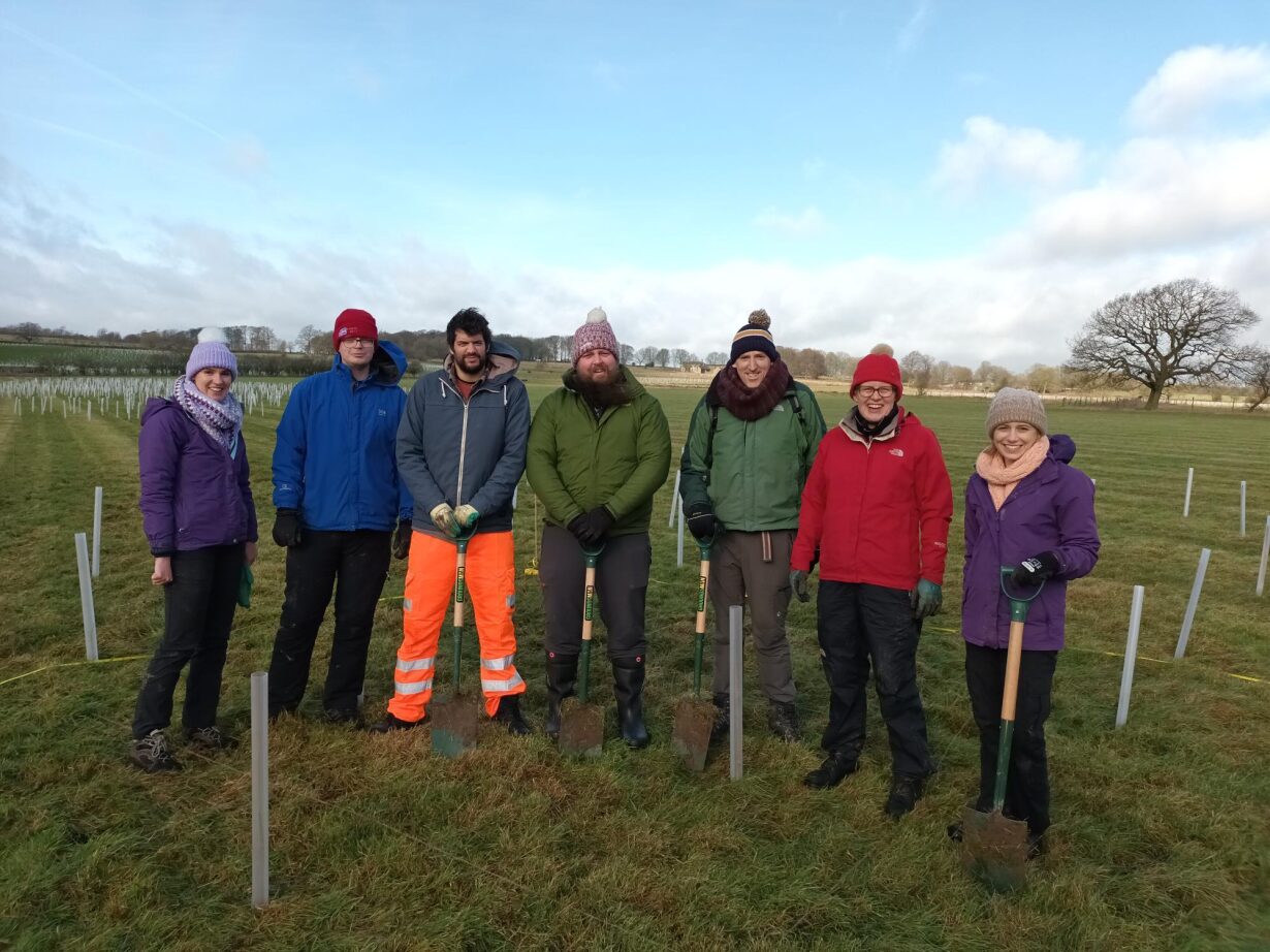 Mott MacDonald colleagues planting trees