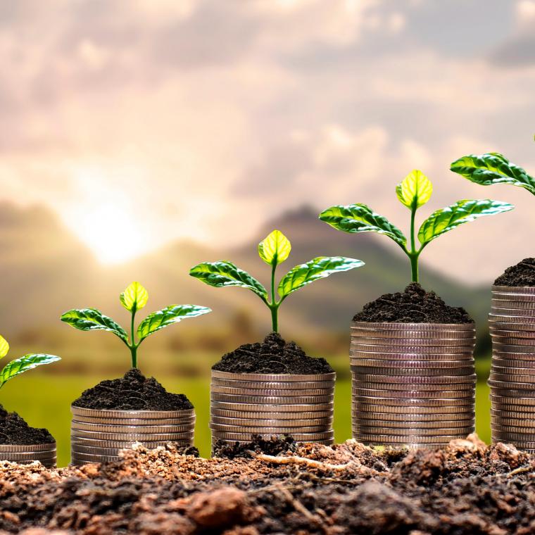 centre for green finance