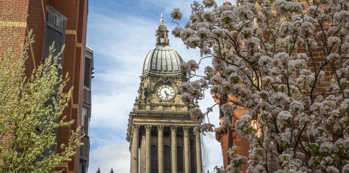 Leeds Town Hall sunshine spring 